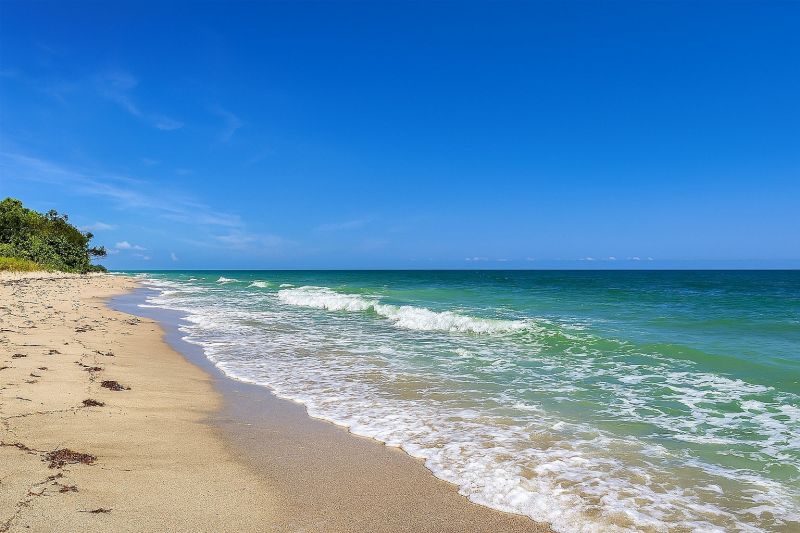 Hero for Home Services Options